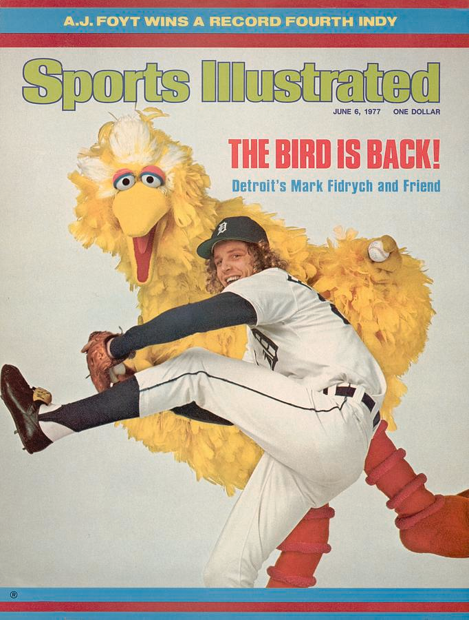The Bird Who Captured Baseball